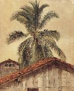 Frederic E.Church Palm Tres and Housetops,Ecuador oil painting reproduction